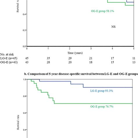 A Comparison Of 5 Year Overall Survival Between The LG E And OG E