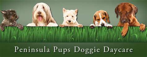 Peninsula Pups Doggie Daycare