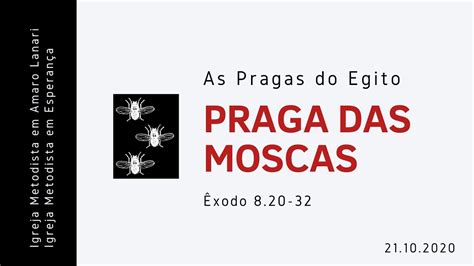 A Praga Das Moscas Deus Cuida De N S Youtube