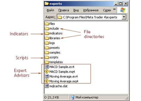 File System Metaeditor Mql4 Tutorial