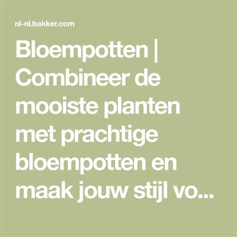 Bloempotten Combineer De Mooiste Planten Met Prachtige Bloempotten En