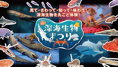 横浜シーパラに深海生物大集合 生体にタッチ＆実際に食べられる いこーよニュース