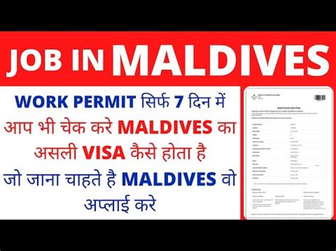 How To Check Maldives Work PermitOnline Employment Visa Recived Jobs