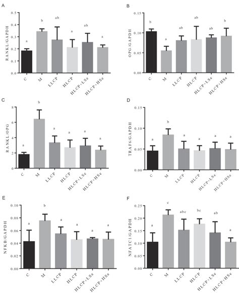 Mrna Expression Of The Key Factors Of Opg Rankl Nf Kb Pathway In Mice