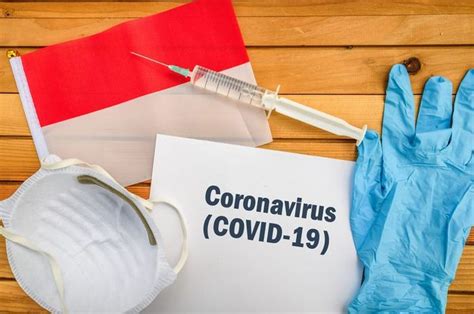 Fakta Tentang Virus Covid 19 Noms