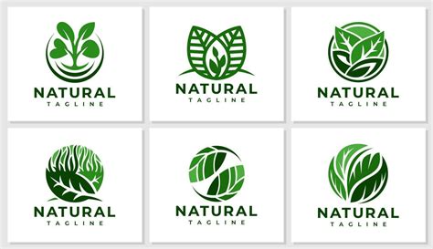 Abstract Organic Leaf Logo Design Modern Greenery Nature Plant Logo