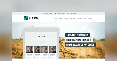 Plasma - Template Review and Demo