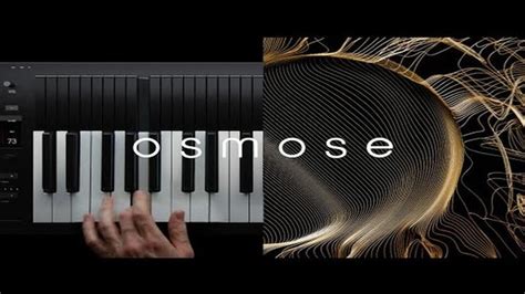 Expressive E Announces Osmose Next Level Expressive Keyboard