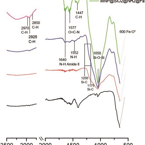Ft Ir Spectra Of Bare Iron Oxide Fe3o4 Mnp Black Mnpsio2 Red