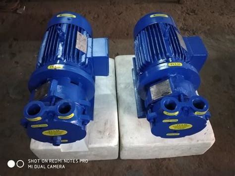 Cast Iron Single Stage Monoblock Watering Vacuum Pump At Best Price In