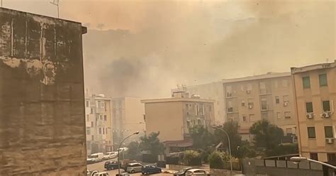 Incendi A Palermo Fiamme Nel Quartiere Borgo Nuovo Le Case Avvolte