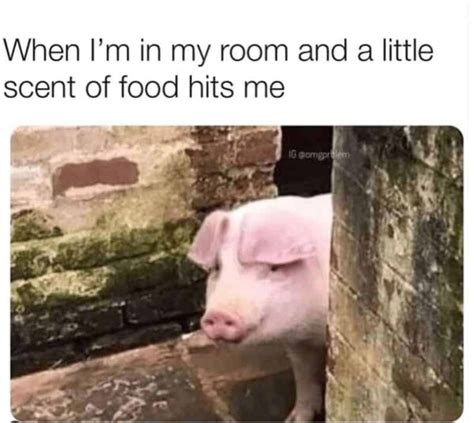 Hungry Memes That Perfectly Capture The Stages Of Hunger Induced