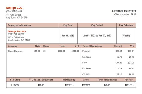 Meadow paystub template - Free Sample pay stub template