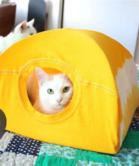 How To Diy Cat Tent Using Household Items Teb Diy