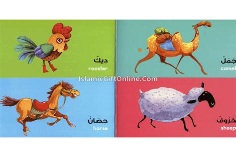 Animals Board Book