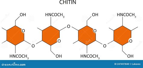 N Acetylglucosamine Molecular Structures Monosaccharide Glucose D