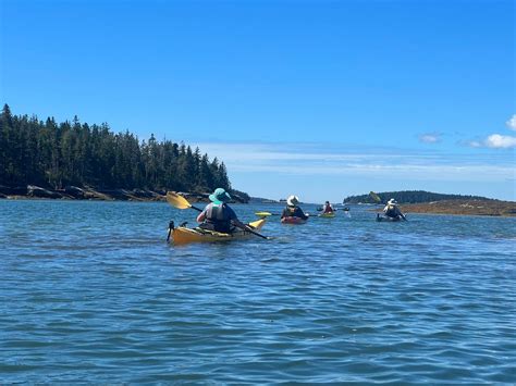 Ospreys Echo Sea Kayaking Stonington Tutto Quello Che Cè Da Sapere