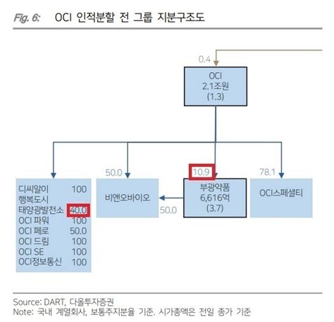 지배구조 리포트 Oci그룹 지주사 전환 미션 부광약품 지분율 올리기 딜사이트