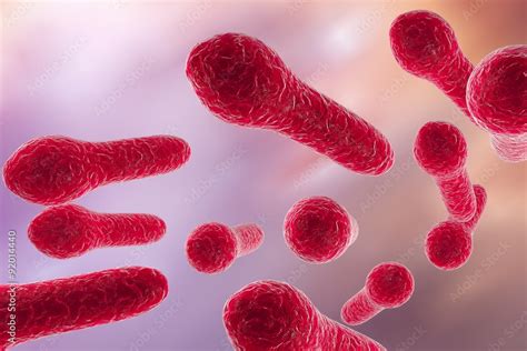 Digital illustration of Clostridium tetani, Clostridium perfringes ...