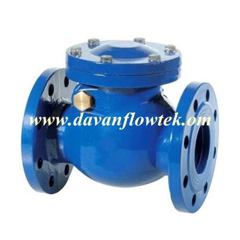 Check Valve Ductile Cast Iron Ggg Dn Din Bs Standard Flanged Water