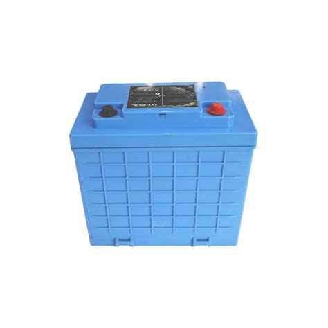 Deep Cycle Lithium Eisen Phosphat Batterien 100 Ah 24 V LiFePo4 Akku