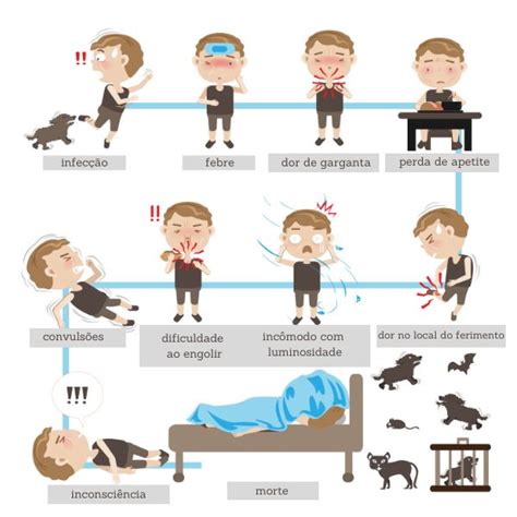 Raiva O Que Sintomas Transmiss O Tratamento Brasil Escola