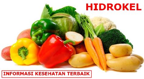 Makanan Yang Dianjurkan Bagi Penderita Asam Urat Info Kesehatan Terbaik