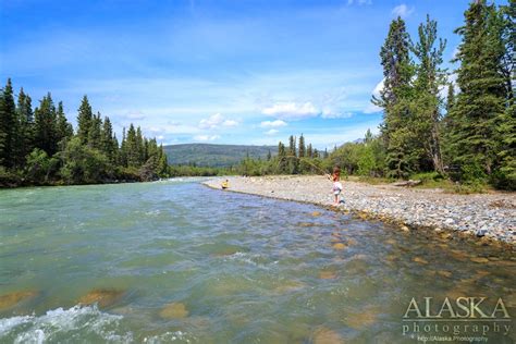 Beaver Creek Alaska Alaska Guide