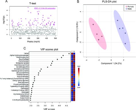 Biological Sex Influences Baseline Cardiac Metabolite Abundances