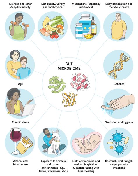 How To Improve Your Gut Health And Microbiome Public Magazine