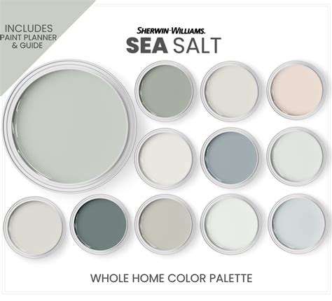 Sea Salt Paint Color Palette