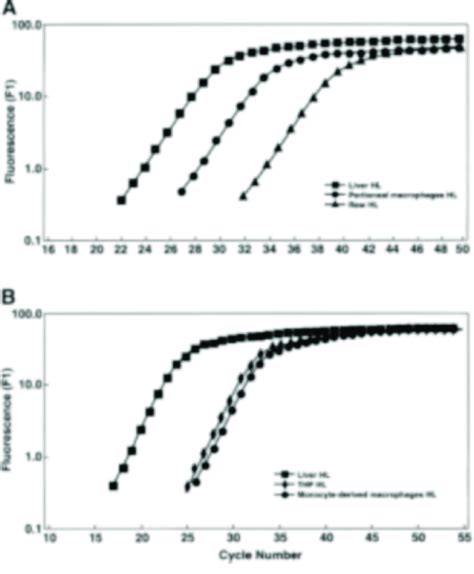 Quantitative Real Time Rt Pcr Analysis Of Hl Expression In Mouse And