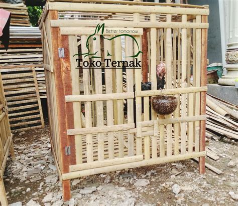 Kandang Ayam Bambu Lazada Indonesia