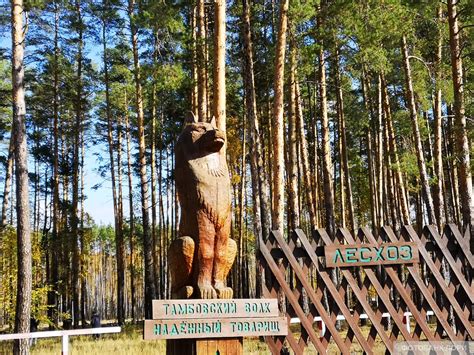 "Тамбовский Петергоф"