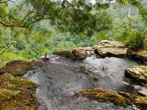 Purling Brook Falls - one of the best hiking tracks in Springbrook ...