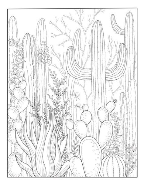 A Black And White Drawing Of Cactus Plants In The Desert With Leaves Flowers And Cacti