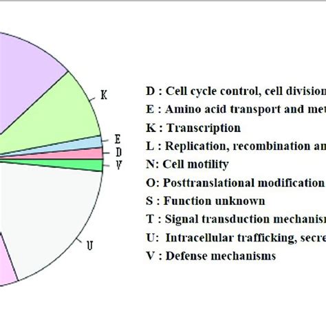 The Distribution Of Genes With COG Functional Categories In The