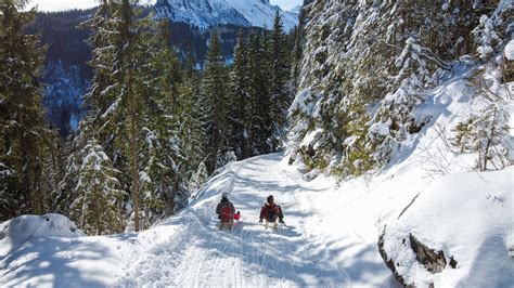 Sledding And Tobogganing In Interlaken Oberhasli Outdooractive