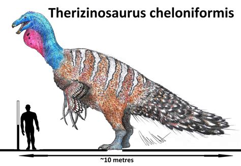 Therizinosaurus Wiki Prehistórico Fandom