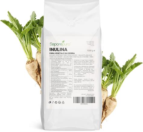 Inulina En Polvo 1 Kg Prebiotico Natural Amazon Es Salud Y Cuidado