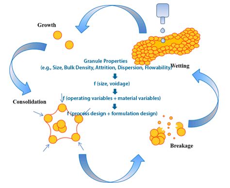 Tablet Manufacture By Wet Granulation Method