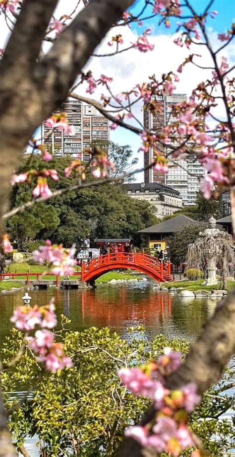 Japanese Garden Buenos Aires Argentina Source Buenosaires Ar Instagram