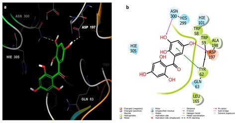 Life Free Full Text New Alpha Amylase Inhibitory Metabolites From