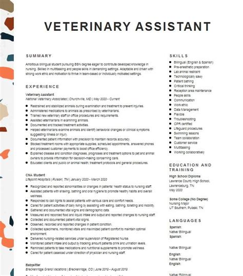 Veterinary Assistant Resume Example