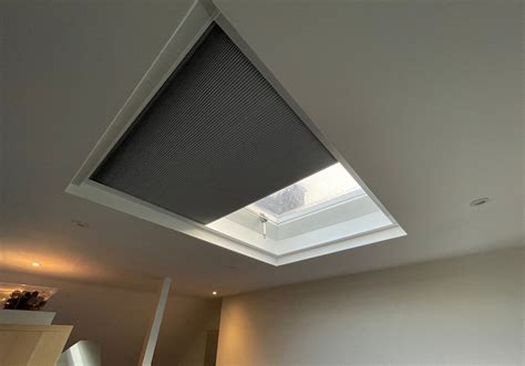 Pleated Duette Roof Light Blinds Aquarius Blinds