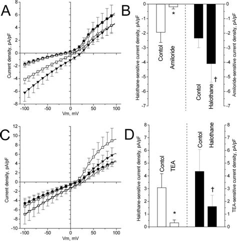 A And B Effect Of Halothane On Enac Whole Cell Current In A Cells