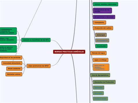 BUENAS PRACTICAS AGRÍCOLAS Mind Map