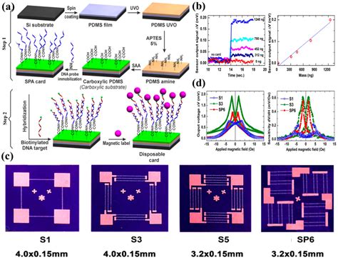 Micromachines Free Full Text Advances In Magnetoresistive Biosensors