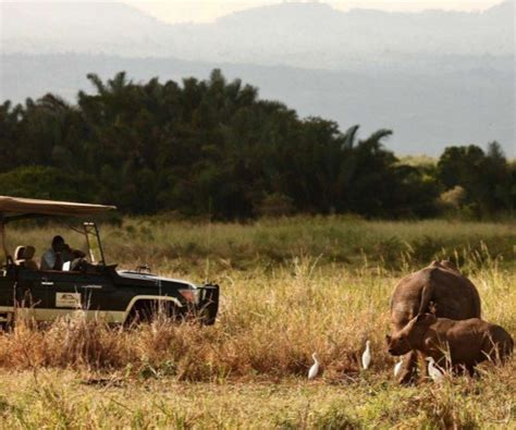 African Hartebeest Safaris Limited