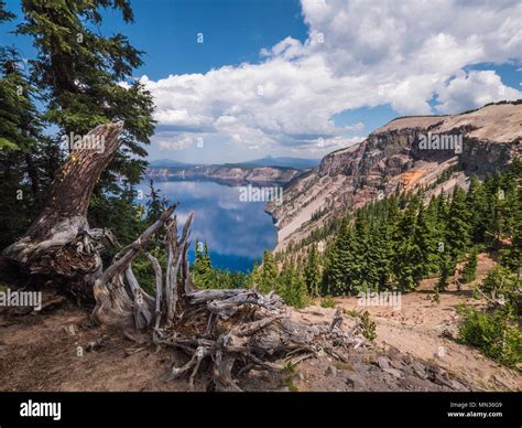 The Rim Of Crater Lake Stock Photo Alamy